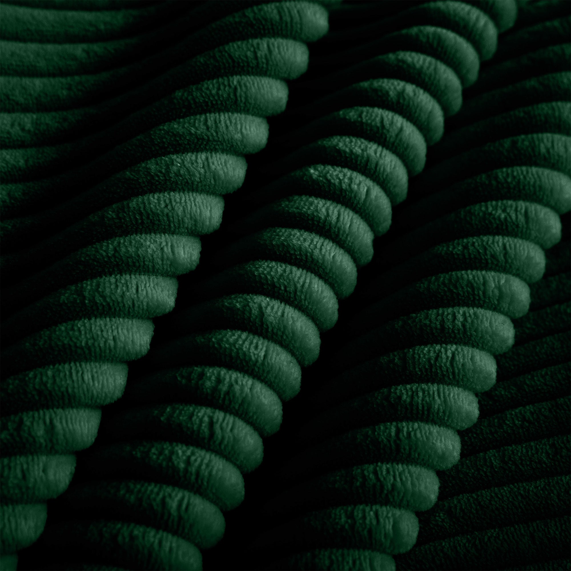 1bc5c5e88cfc48ce8377c1ea9ab0bd38